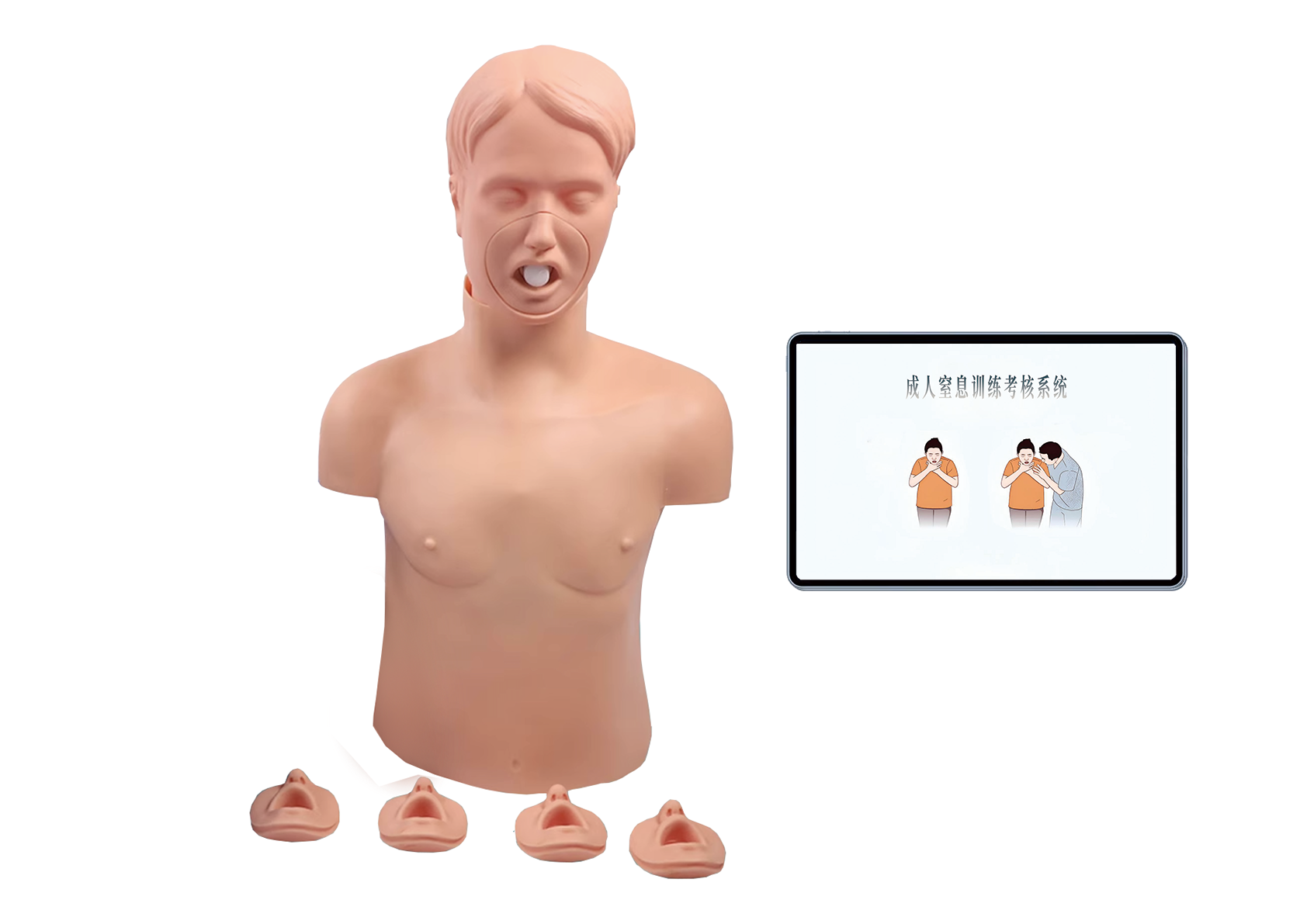 MJ207  成人窒息训练考核系统